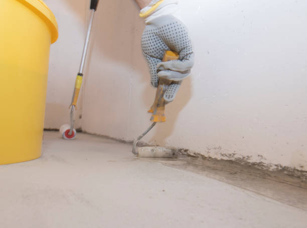 Best Pest Control for Multi-Family Homes  in Cheyenne, WY